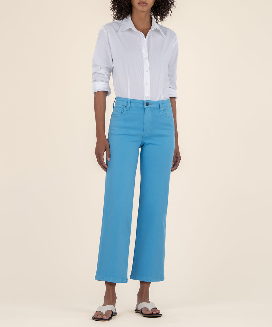 Front view of Charlotte high-rise wide-leg pants in soft cotton-spandex fabric with a regular hem.