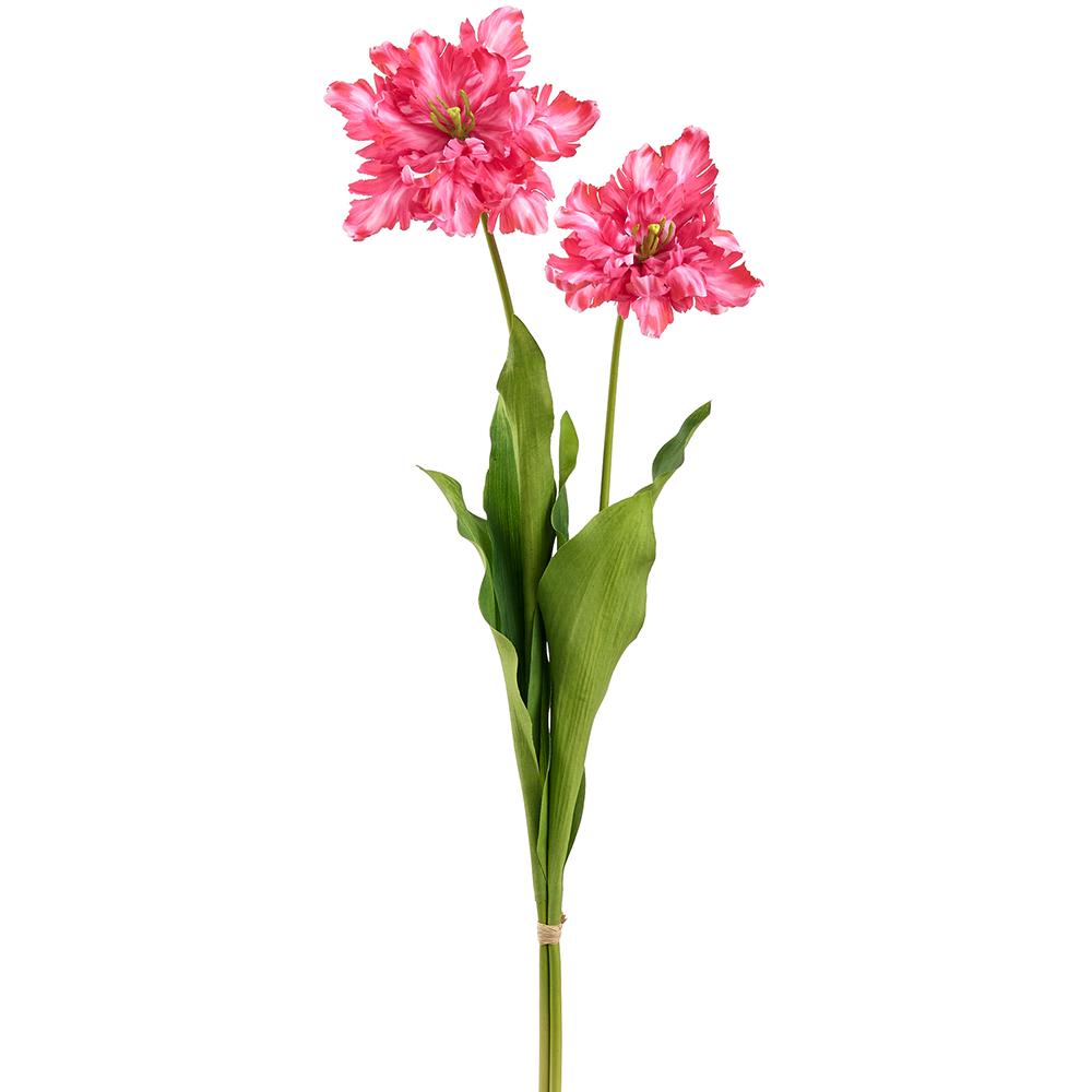 30.5-inch Parrot Tulip bundle featuring PVC tube fabric with metal wire structure in a parrot tulip silhouette.