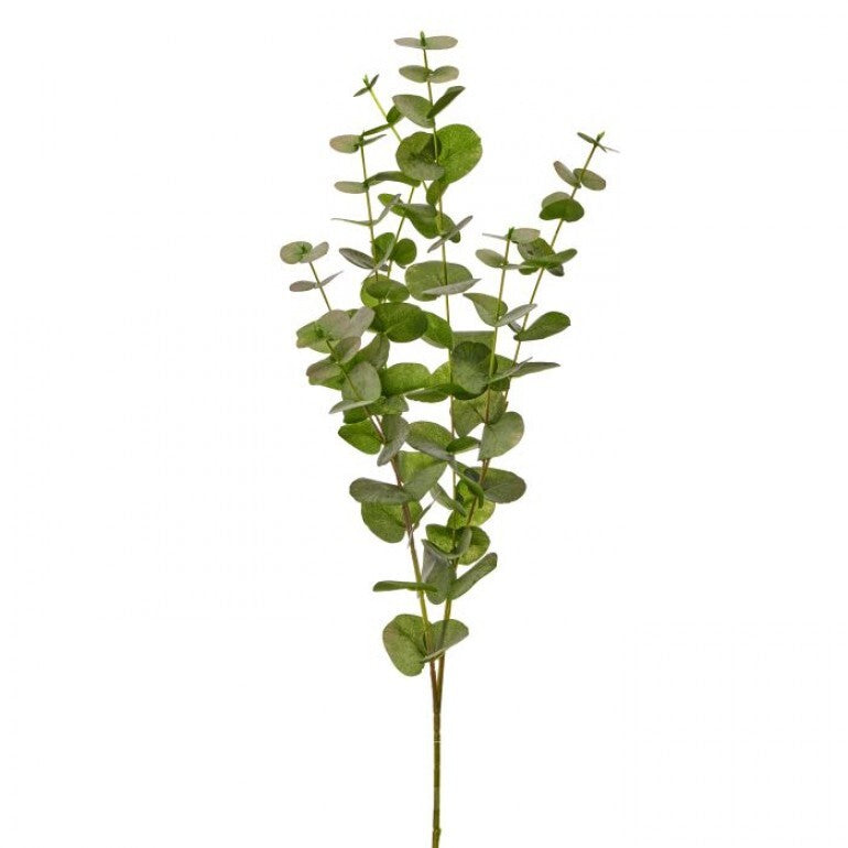 39-inch California Eucalyptus branch with green leaves on a wire stem