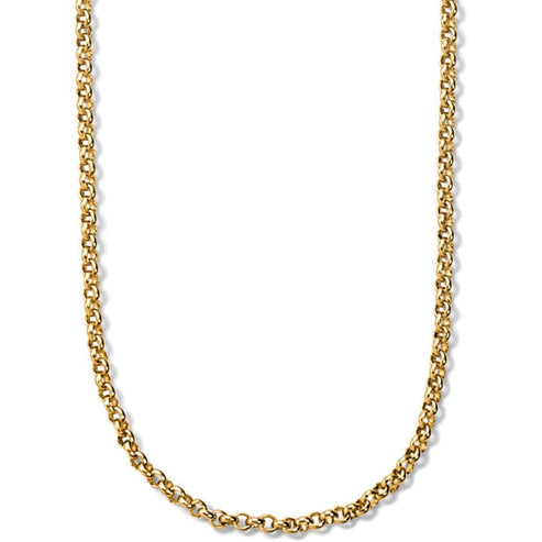 Vivi Delicate Gold Petite Charm Necklace featuring a gold-plated round link chain.