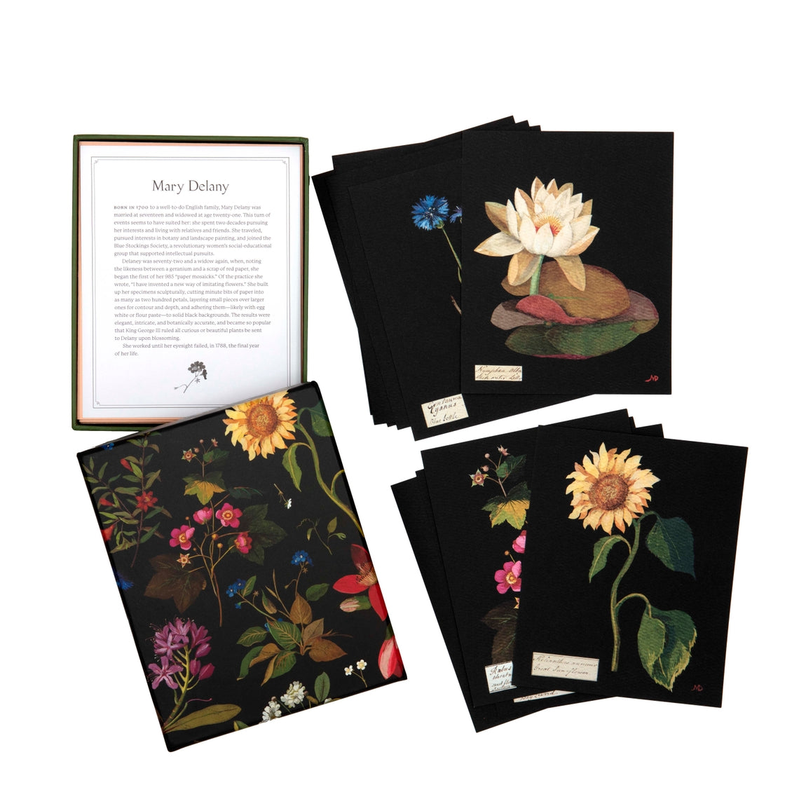 Packaging for Paper Flowers Cards featuring sunflowers, rhododendron, and cornflower botanical illustrations on textured paper.
