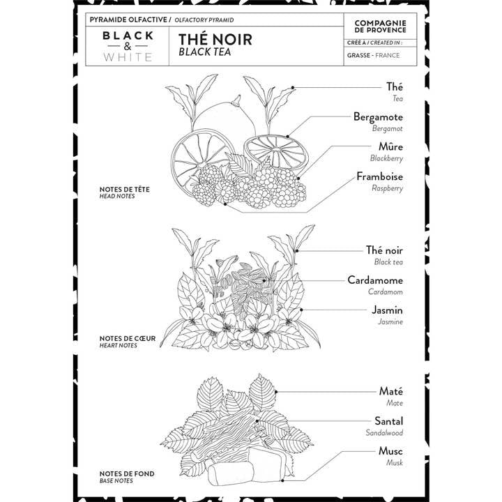 Olfactory pyramid diagram for Black Tea scent showing head, heart, and base fragrance notes.