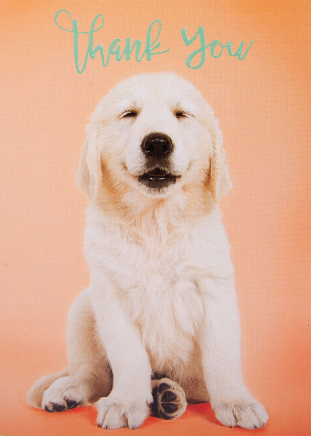 Thank You greeting card featuring a smiling white Labrador puppy on a peach background.