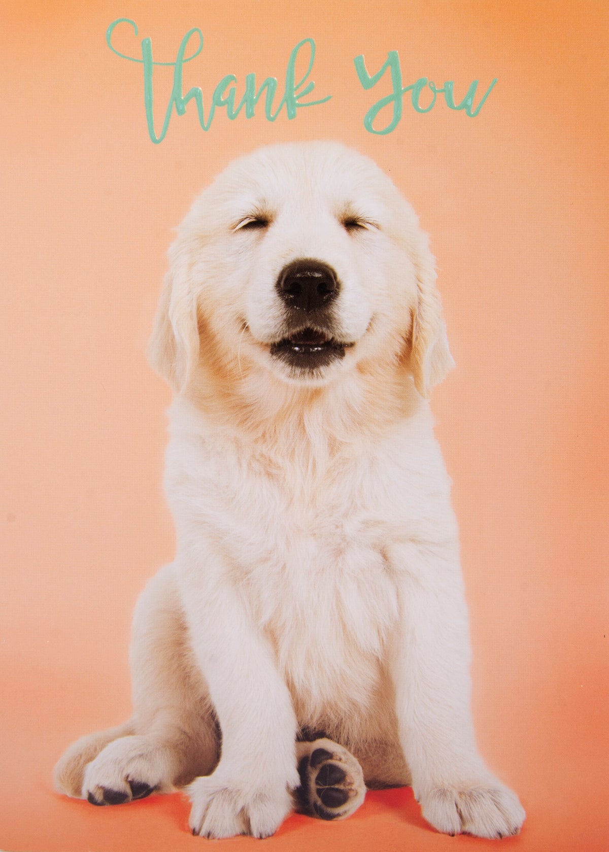 Thank You greeting card featuring a smiling white Labrador puppy on a peach background.
