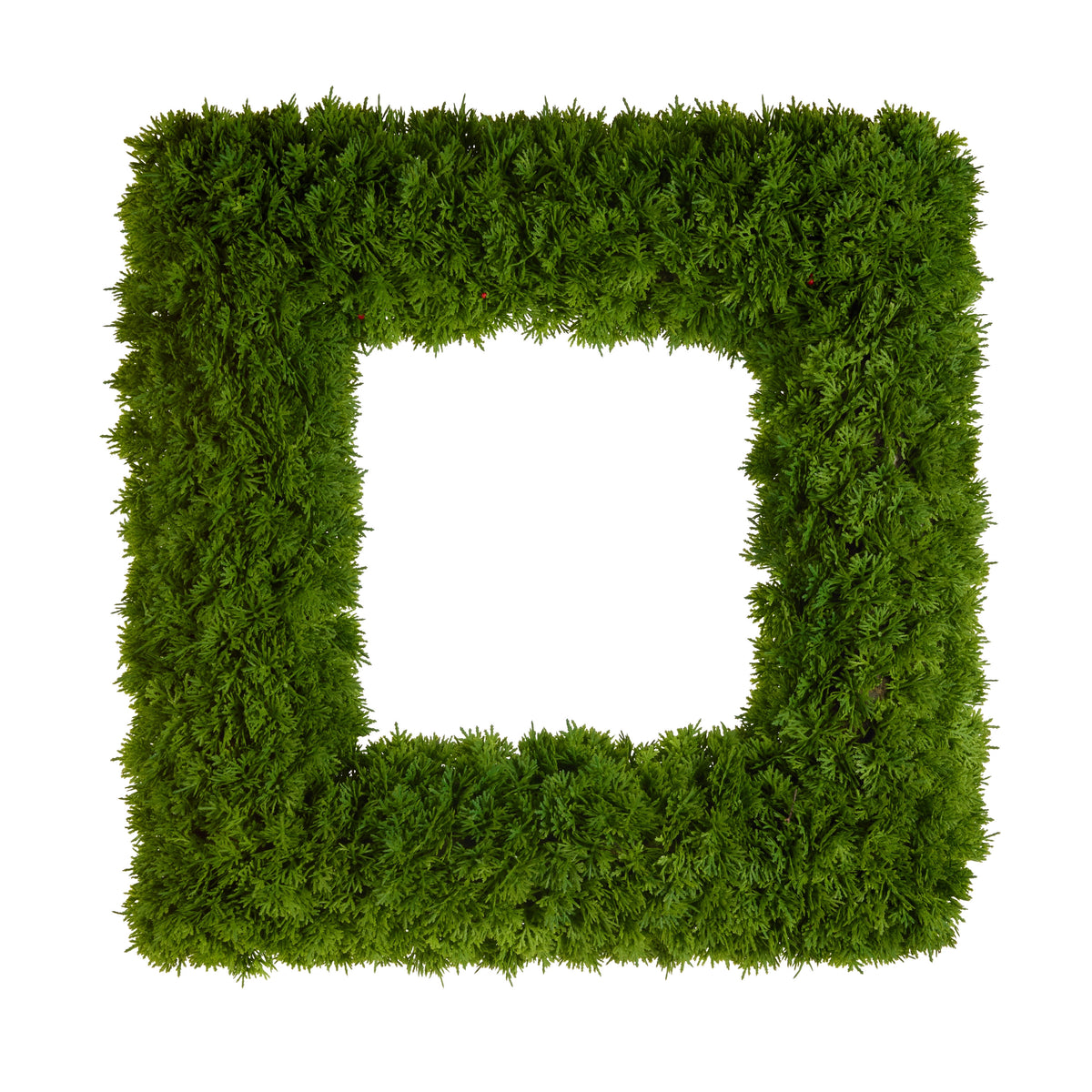 24-inch square cedar wreath with dense green foliage and a white center.