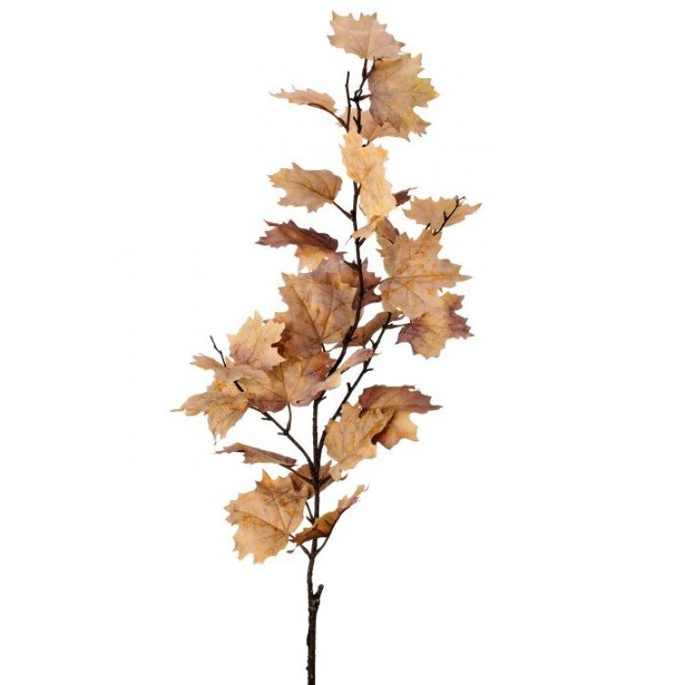 47" Northern Vermont Maple Spray