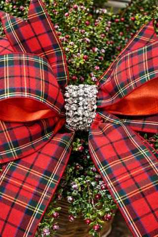 Red plaid holiday bow with a sparkling crystal-encrusted center knot on a green berry plant.