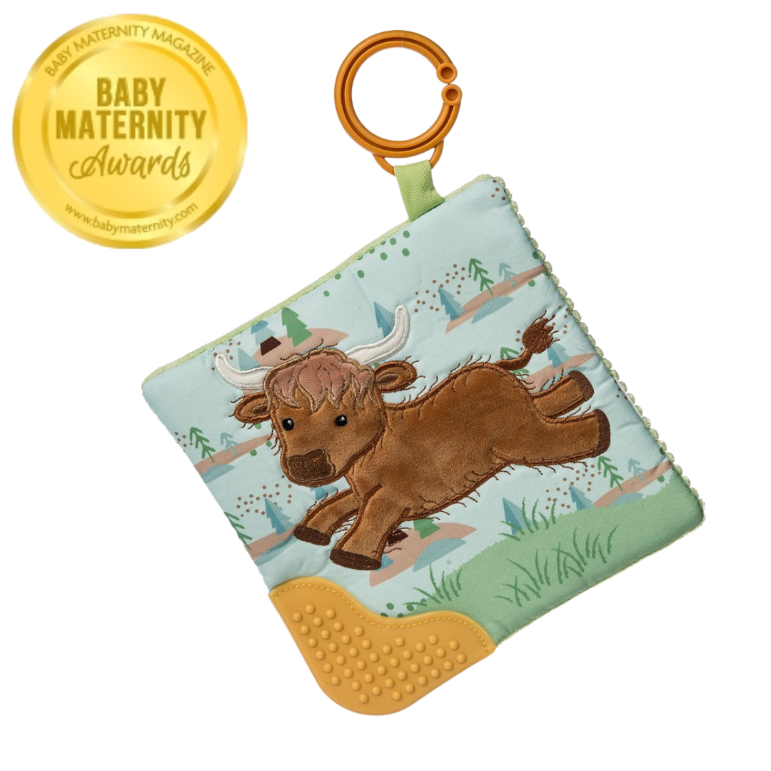 Mary Meyer Crinkle Teether