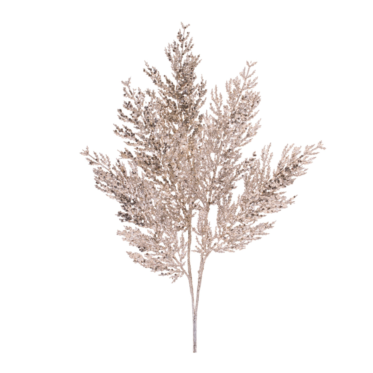 Tall cedar spray measuring 6 inches wide by 0.5 inch deep and standing 22 inches high.