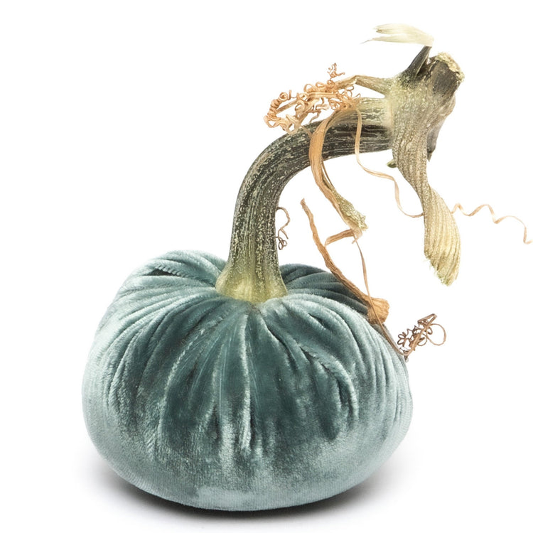 A 3-inch teal silk velvet pumpkin with a long, curved natural dried stem and curly vines.