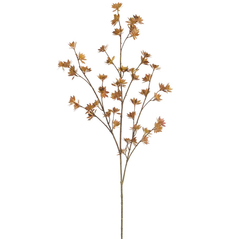 42-inch brown flowering pod spray with multiple branches and small textured pods.