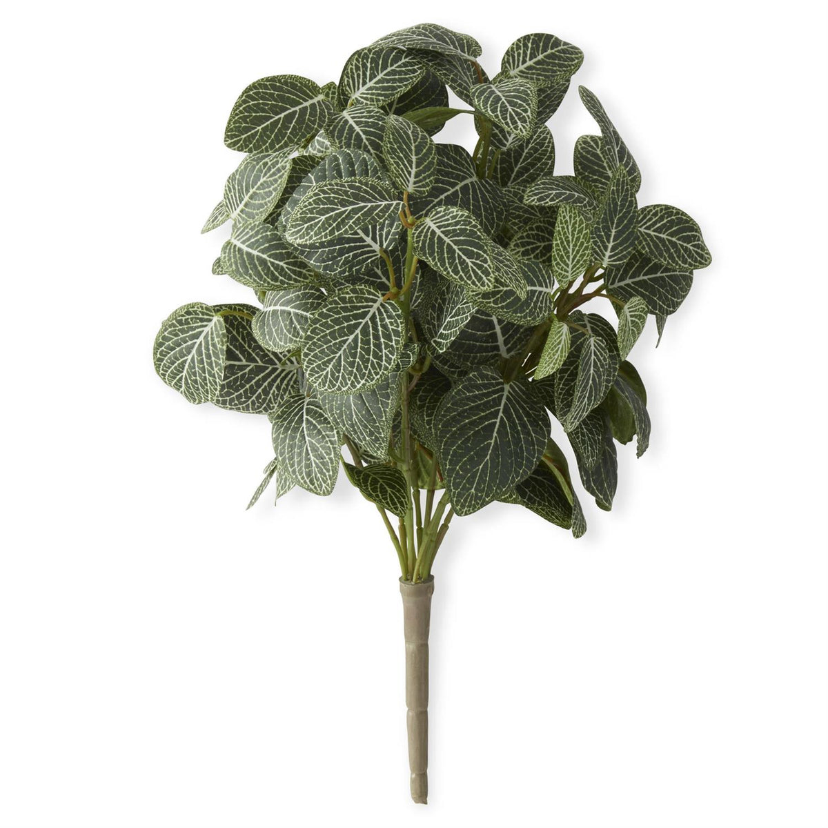 Artificial Fittonia bush with green striped leaves in a black pot.