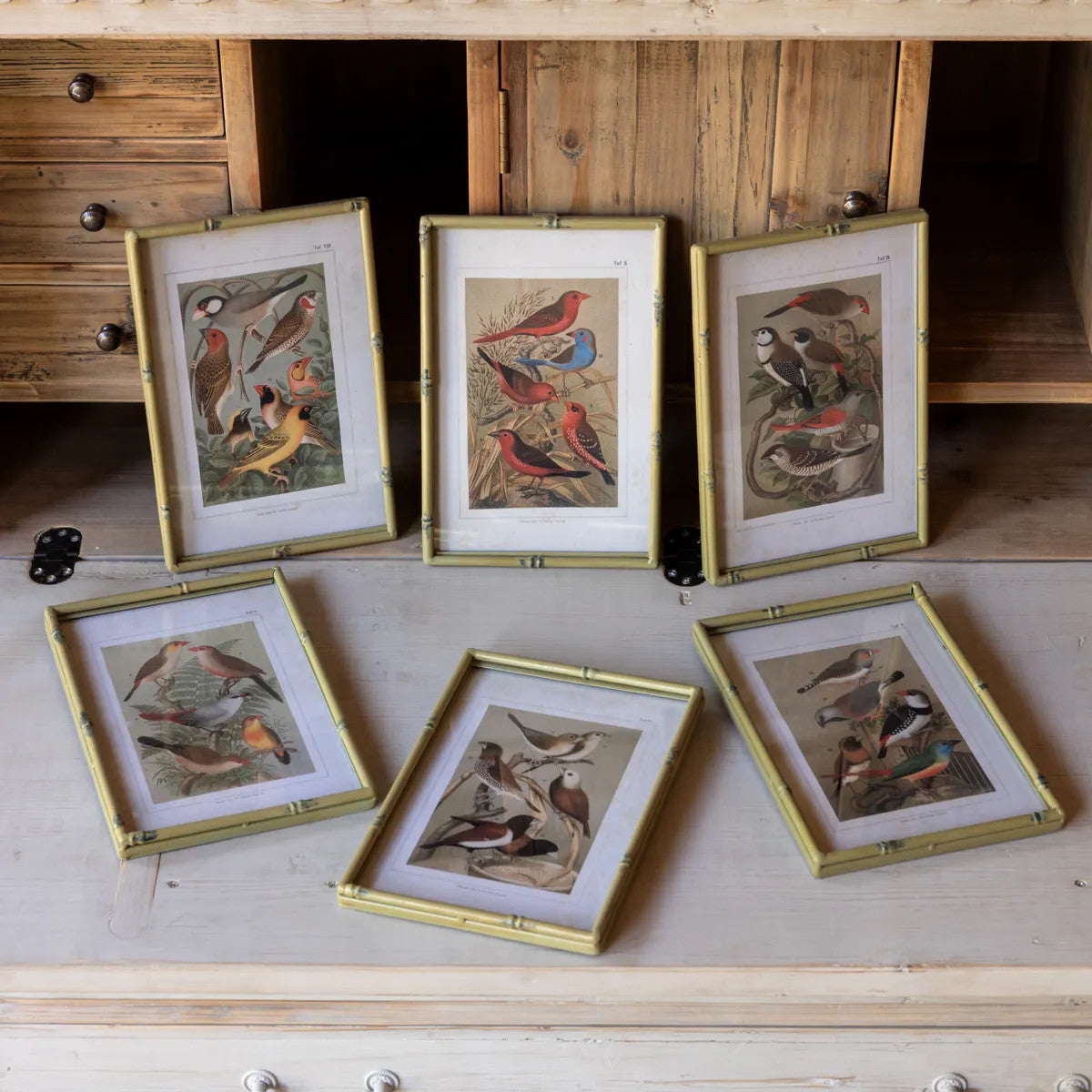 Song Bird print in faux bamboo frame with natural wood finish