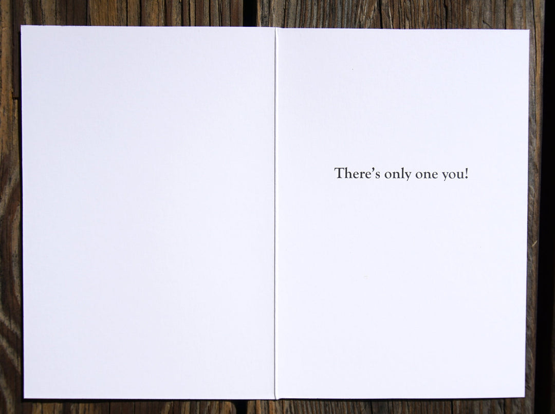 Garden SPT Friendship Snap Dragon Field