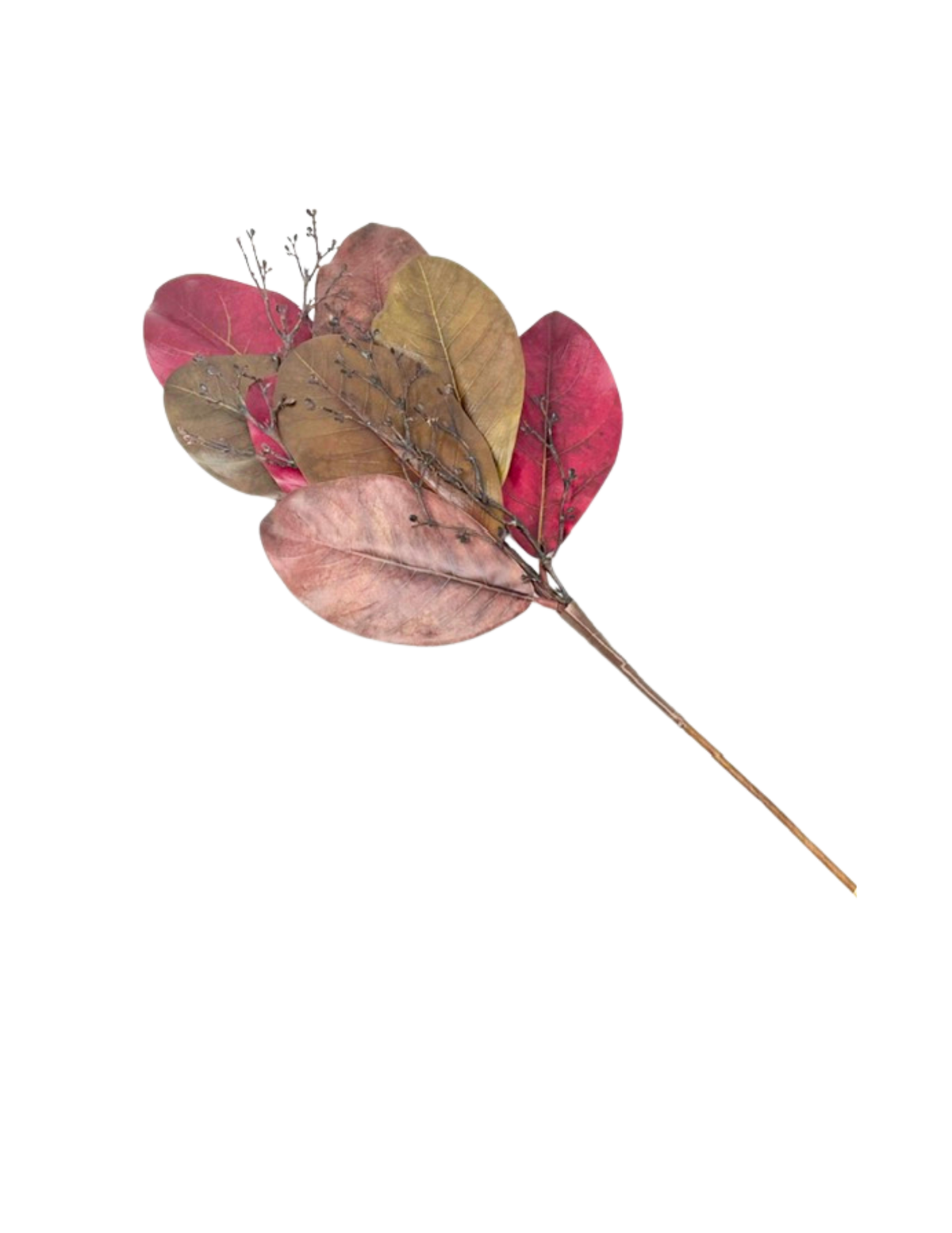24.5-inch magnolia leaf spray with realistic textured leaves in shades of burgundy and brown.