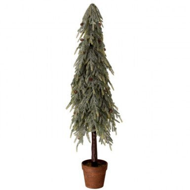 48-inch potted frosted Norfolk pine tree with pinecones in a brown pot.
