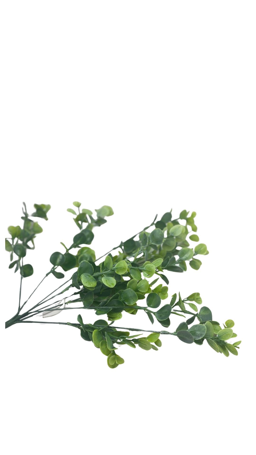 FS Green artificial eucalyptus bush with natural leaf texture in a full silhouette.