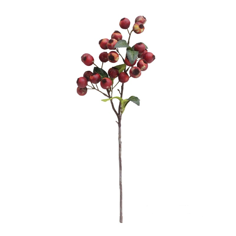 Crabapple Red