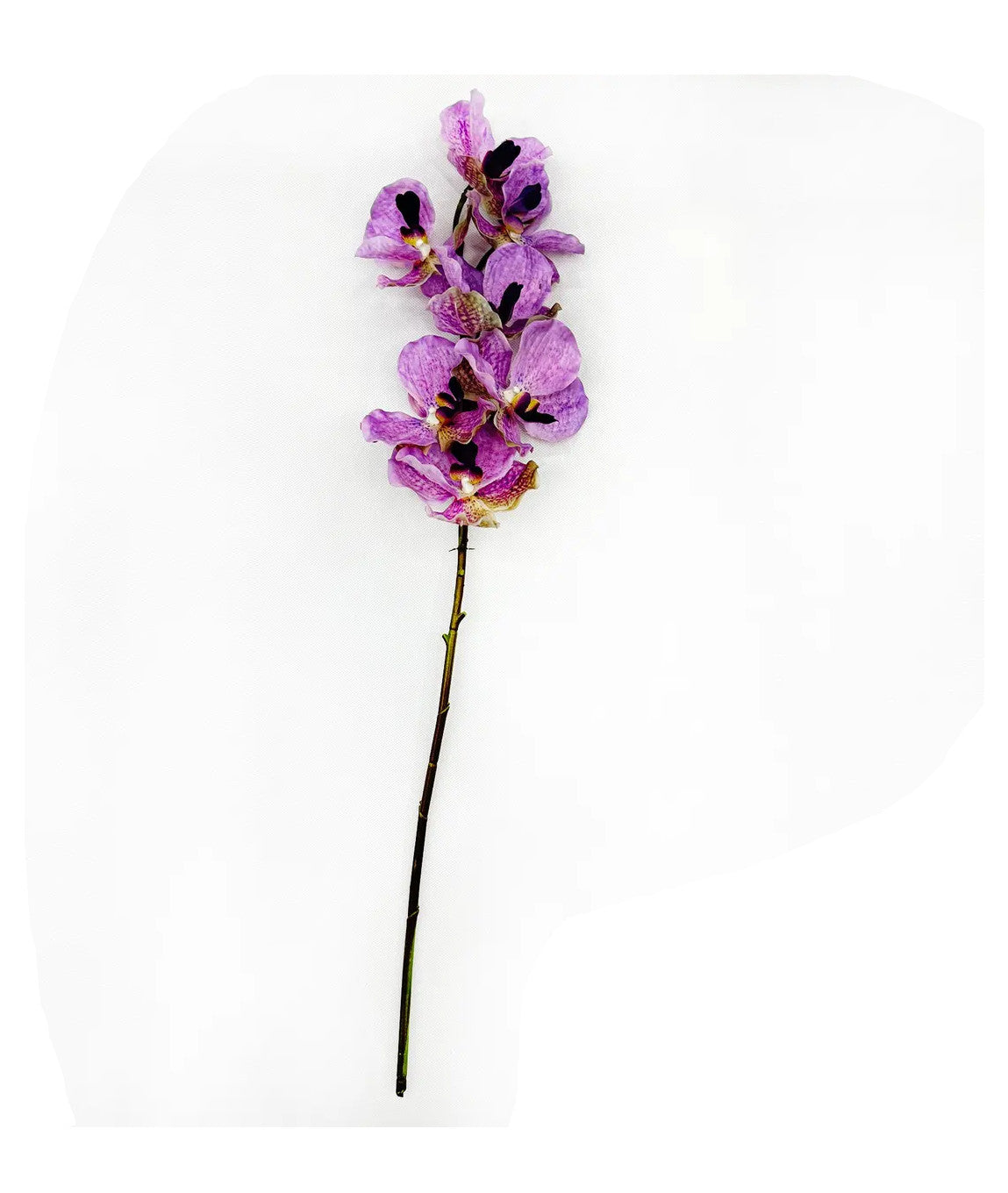 Vanda orchid in a clear glass vase with water visible.