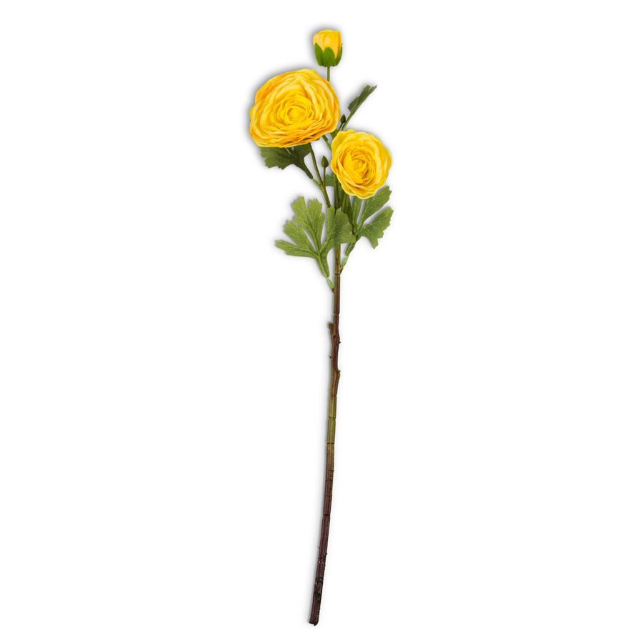 Triple bloom ranunculus flower head with fabric petals in white on a green stem.