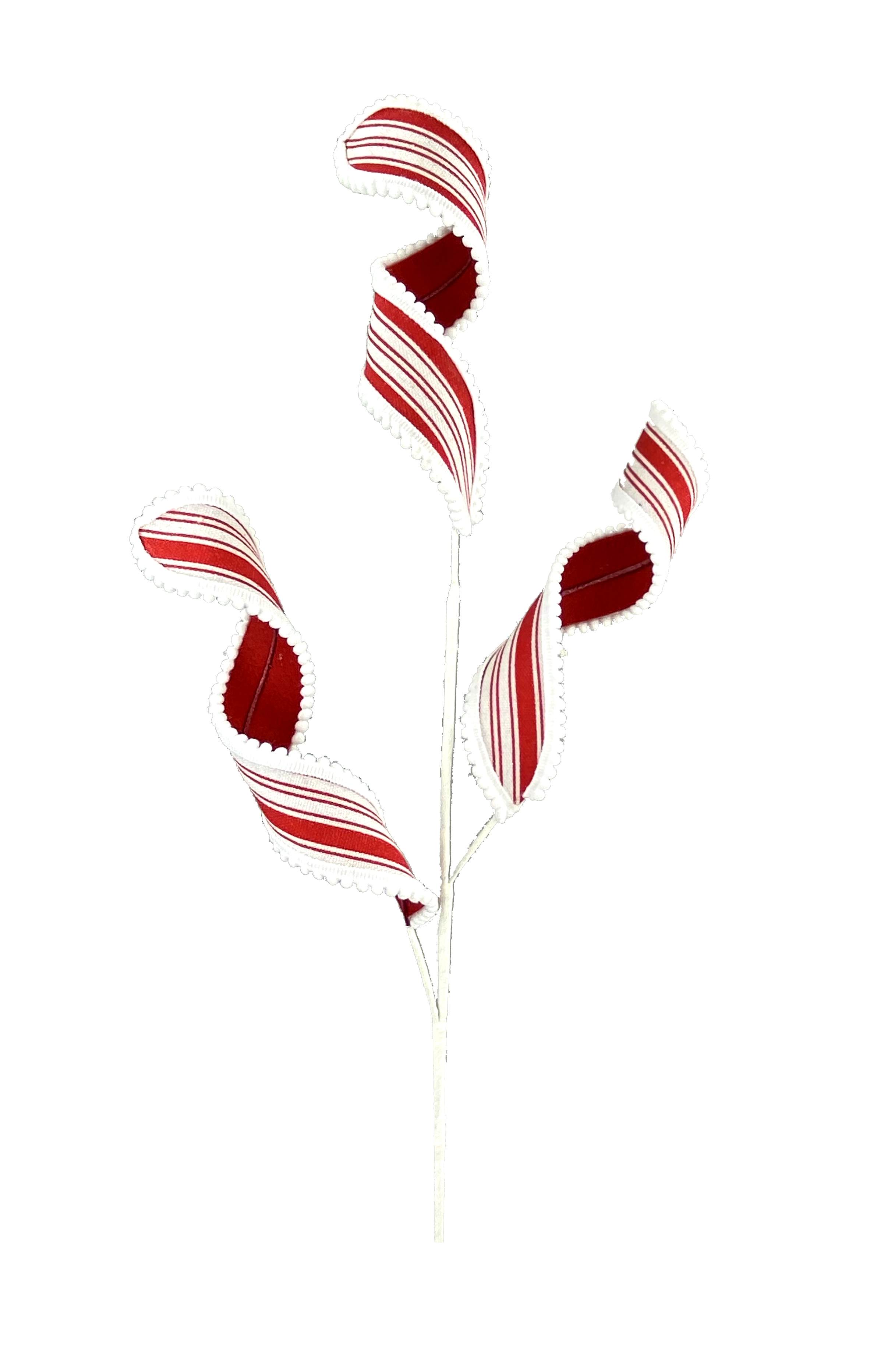 Decorative curly spray with red and white striped ribbon and a white pom-pom ball edge.