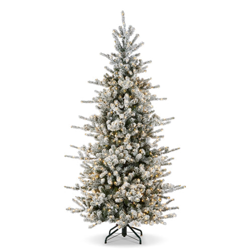 12’ Snowy Rocky Mountain Spruce with warm white LED lights and flocked branches on a metal stand.