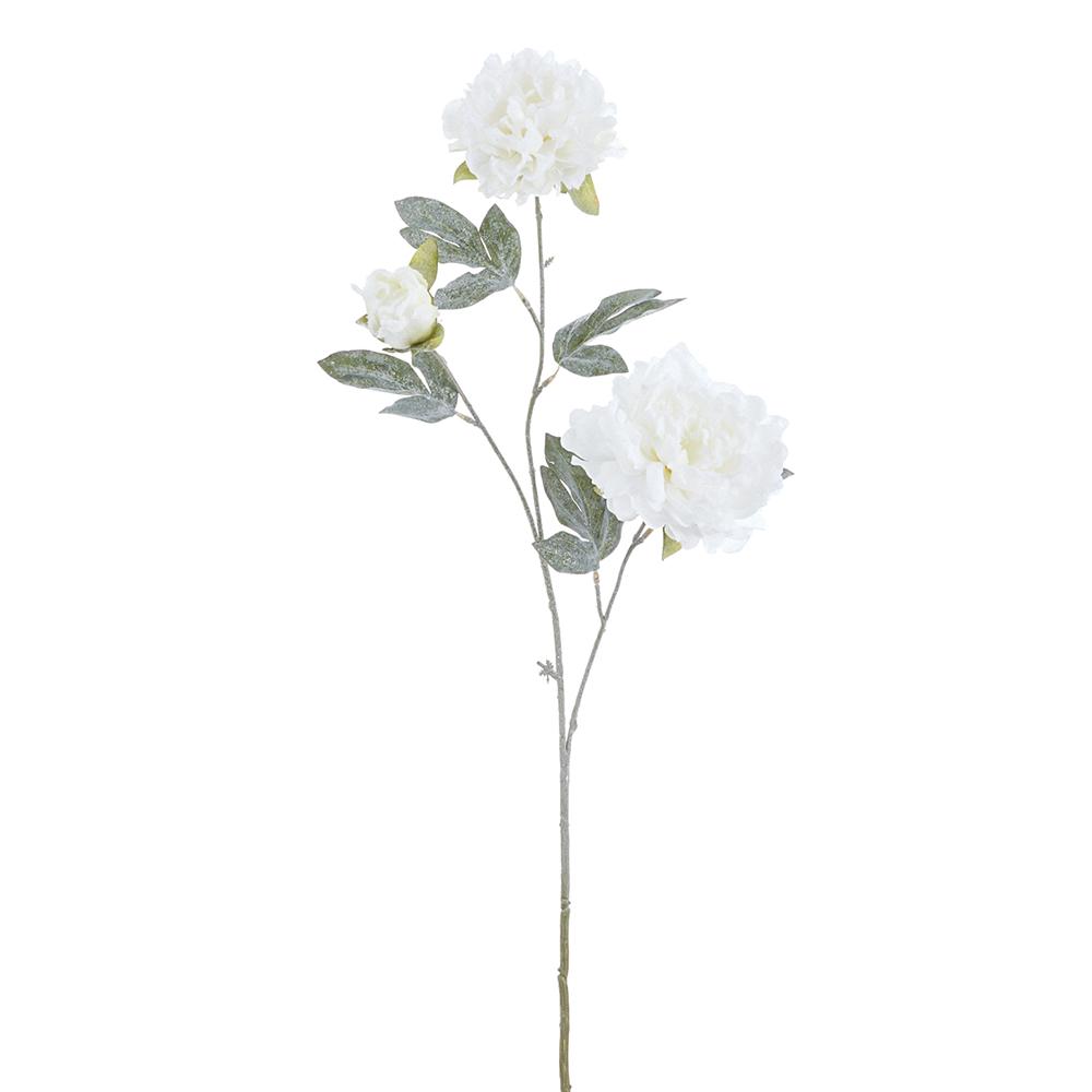 32-inch white snowed peony spray with three artificial blooms and frosted green leaves.