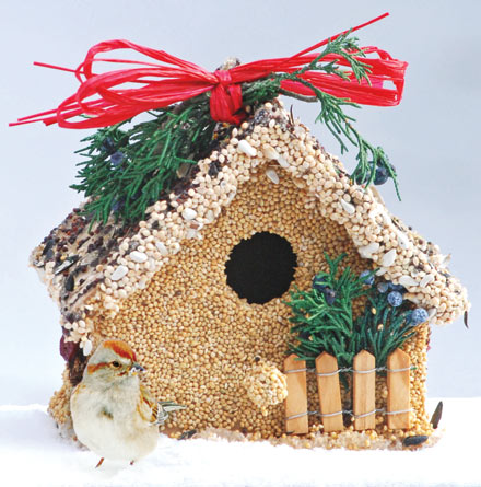 Hand-decorated wooden birdhouse with red raffia, juniper, cranberries, and millet.