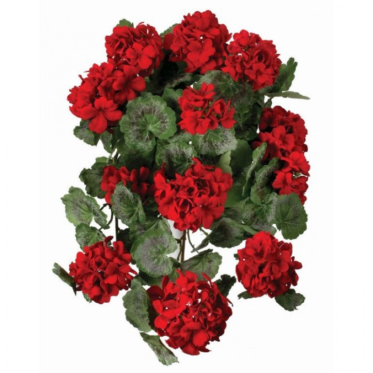 Red faux geranium plant with green leaves in a hanging pot