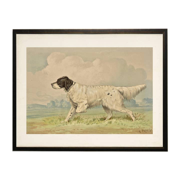Vintage framed print of a spotted retriever dog in a field with a cloudy sky background.