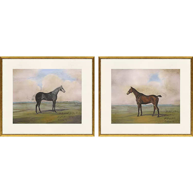 Pair of framed equestrian prints featuring a grey and a bay horse in landscape settings.
