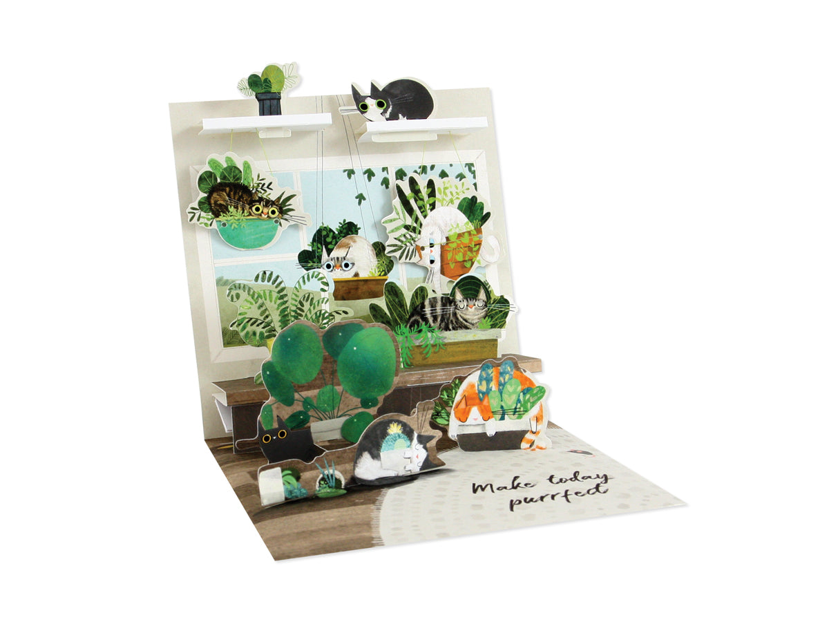 White envelope featuring a colorful card with cats among plants, finished with gold foil.
