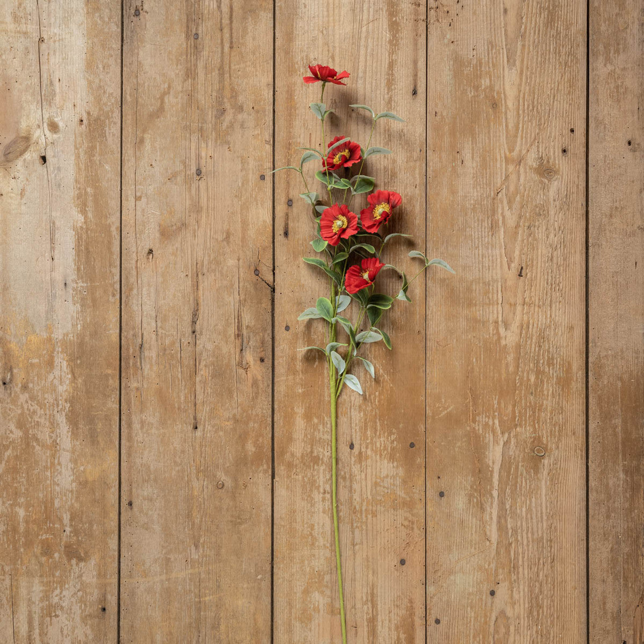 34-inch Anemone spray in white plastic with polyester petals featuring a natural floral silhouette.