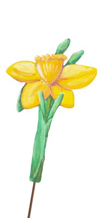 Easter Daffodils