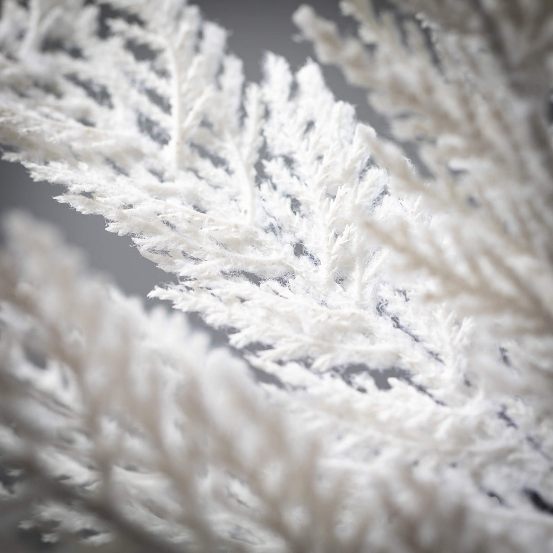 White Cypress Spray