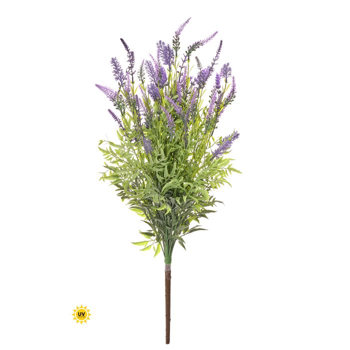 Natural Touch Lavender plant in a round pot with full green foliage.