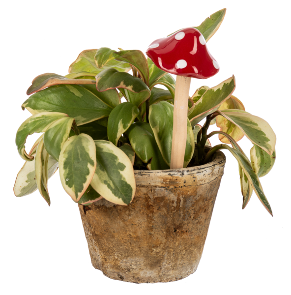 Multi-colored mushroom-shaped plant pick with a natural wood stem.