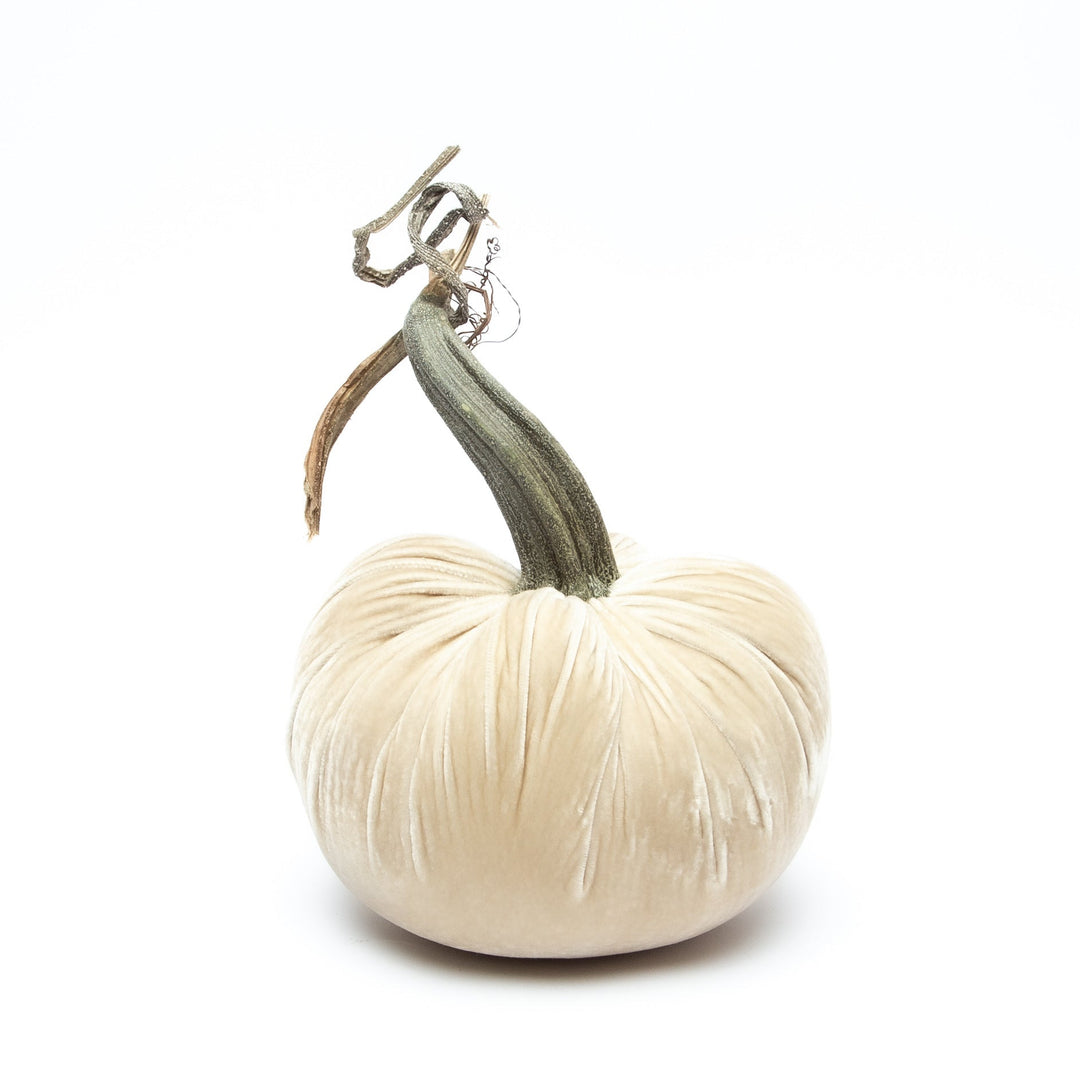 8" Velvet Pumpkin