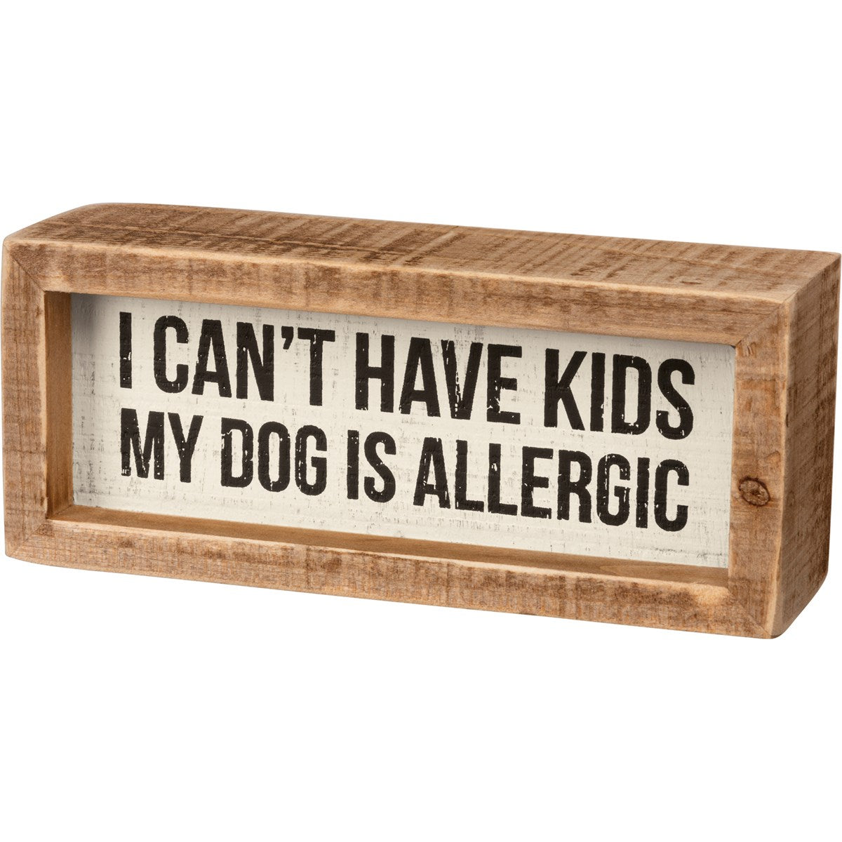 Inset wooden sign with text 'I Can't Have Kids Dog Is Allergic' in black lettering on a light wood background.