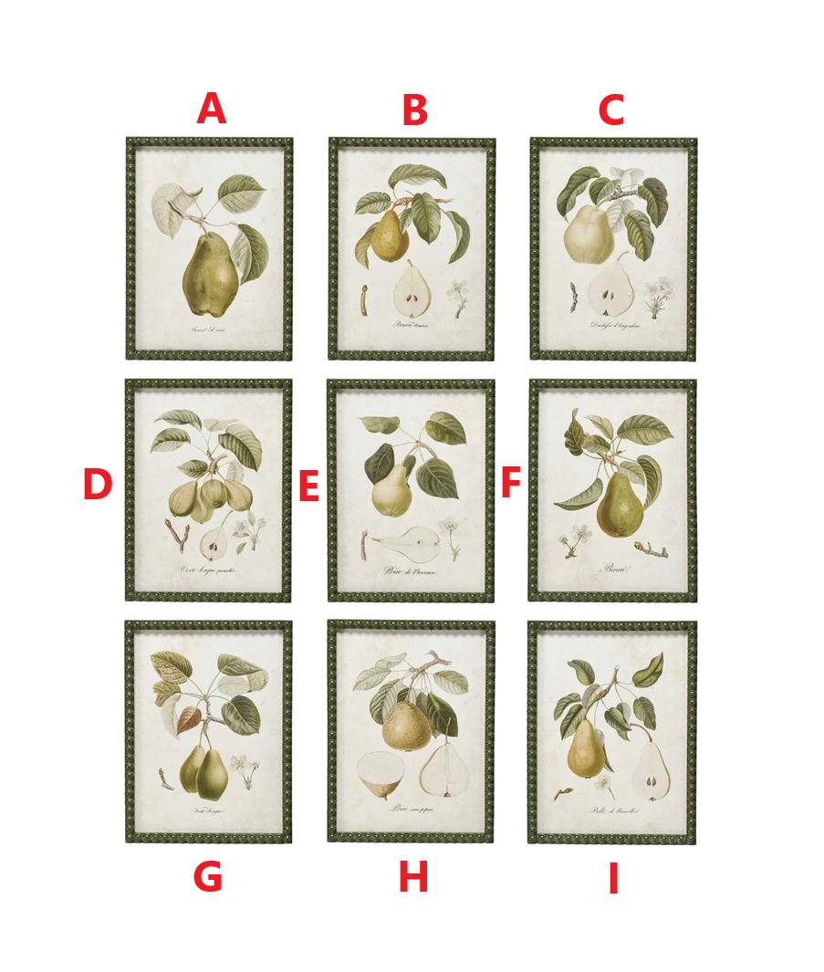 Firwood framed vintage reproduction print featuring a pear on glass.