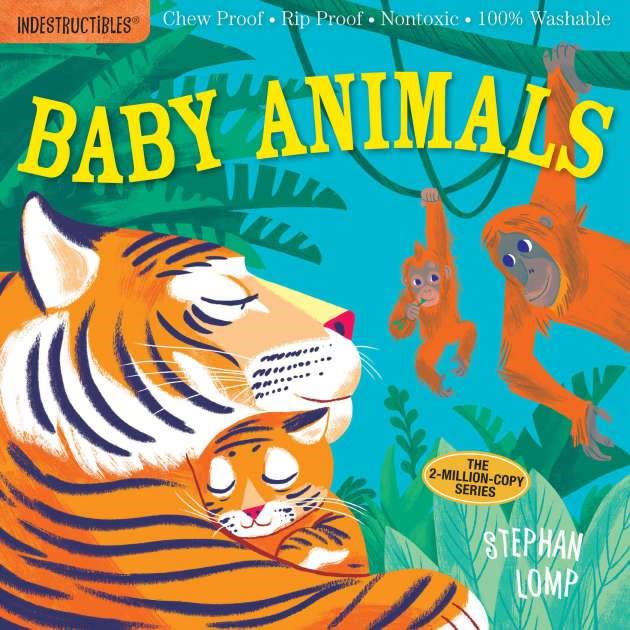 Indestructible toddler book with bright illustrations on a durable waterproof cover.