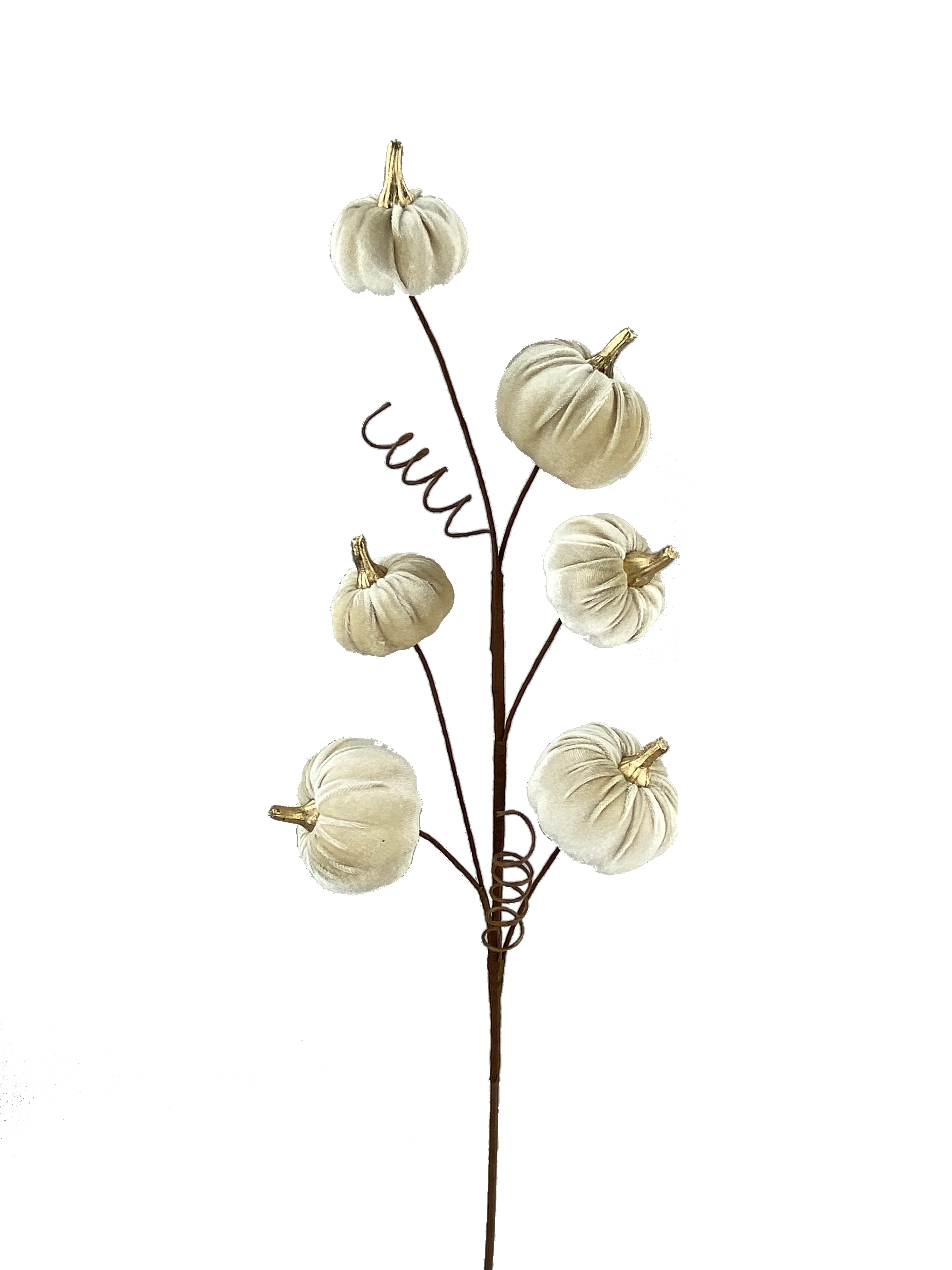 28-inch decorative spray featuring six cream-colored velvet pumpkins with gold stems.