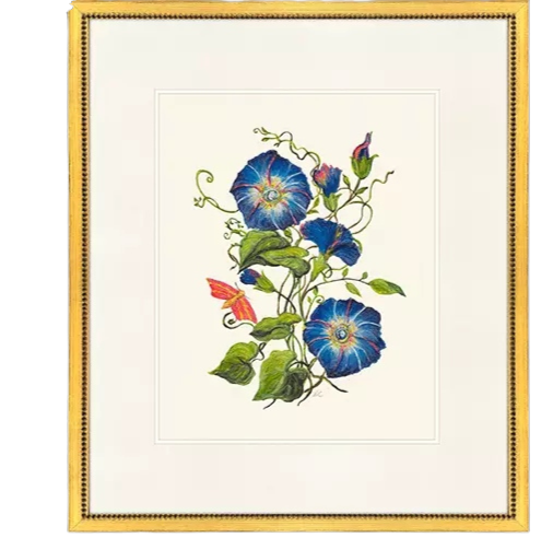 Delicate Medley II botanical print of blue morning glories in a gold beaded frame.