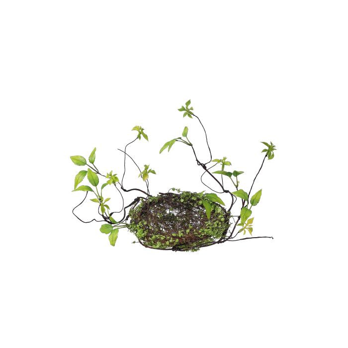 6-inch Baby Tears Nest with Vine in natural green tones