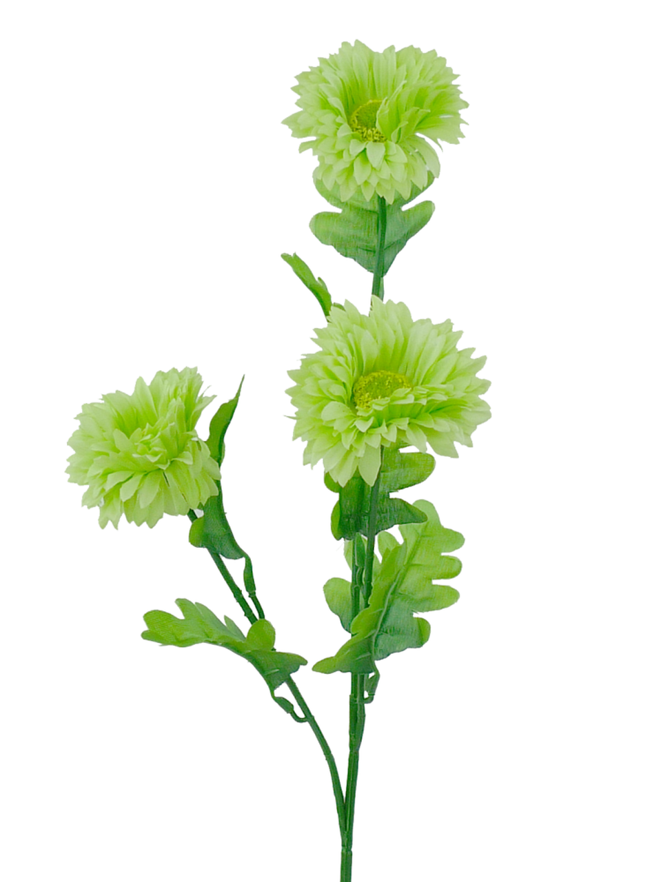 A light green artificial gerber daisy spray with three blooms and green leaves on a white background.