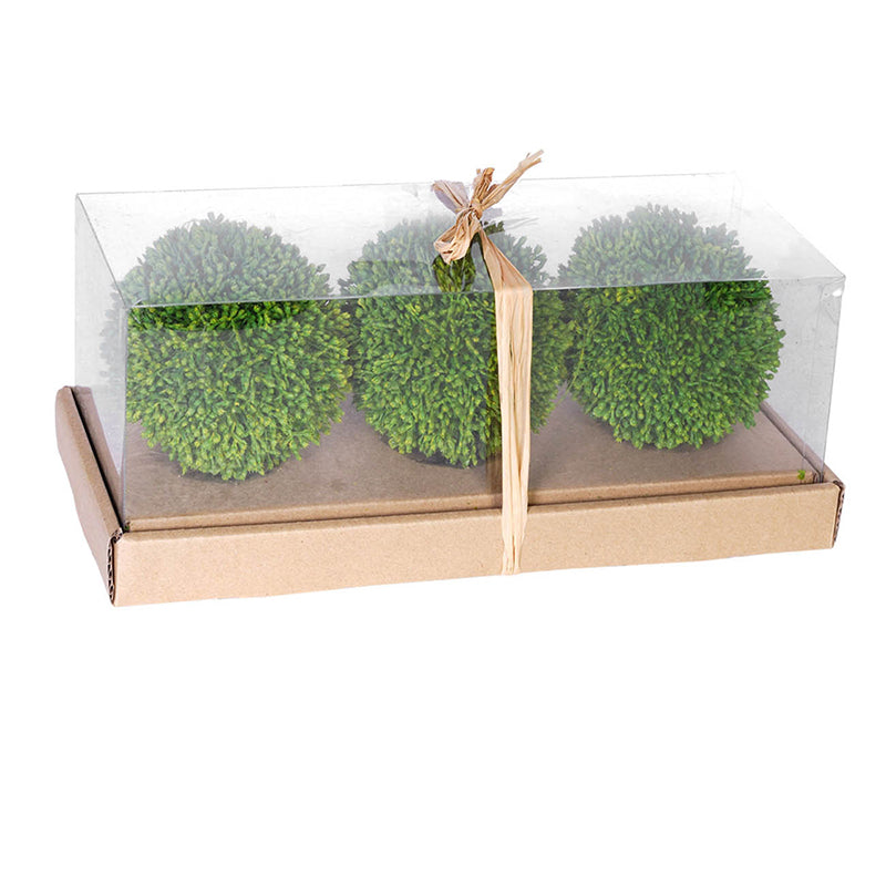 Set of three green boxwood decorative spheres in a clear display box with a cardboard base.