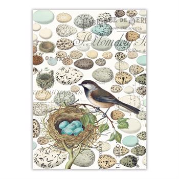 Kitchen Towel