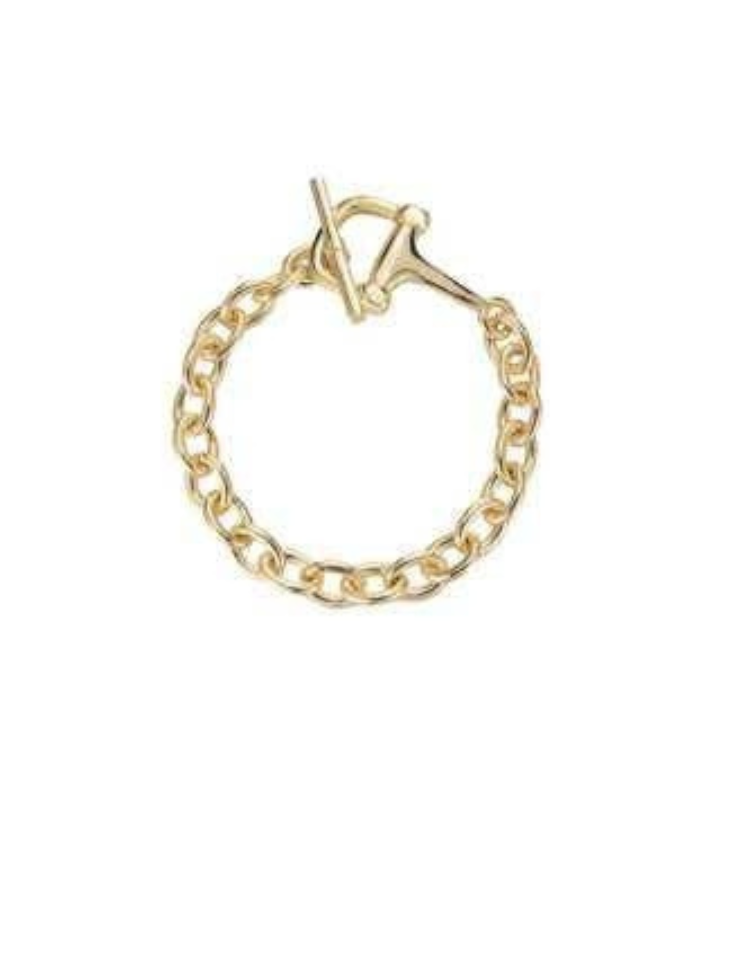 Gold curb chain bracelet with a toggle clasp closure.