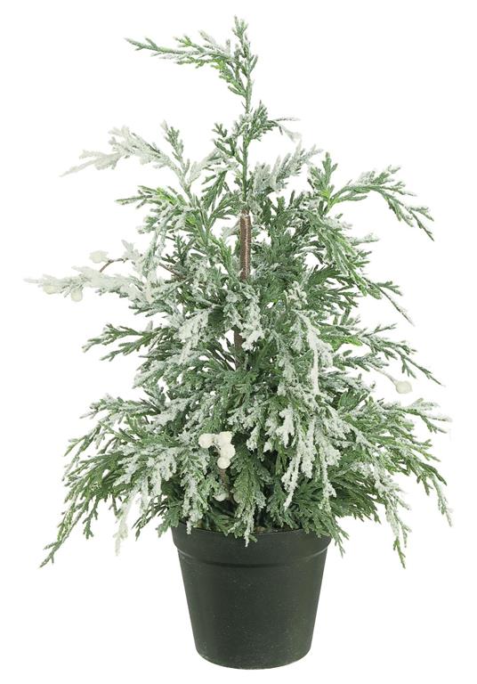 18-inch snowy pine tree with white frosted needles and small white berries in a black pot.