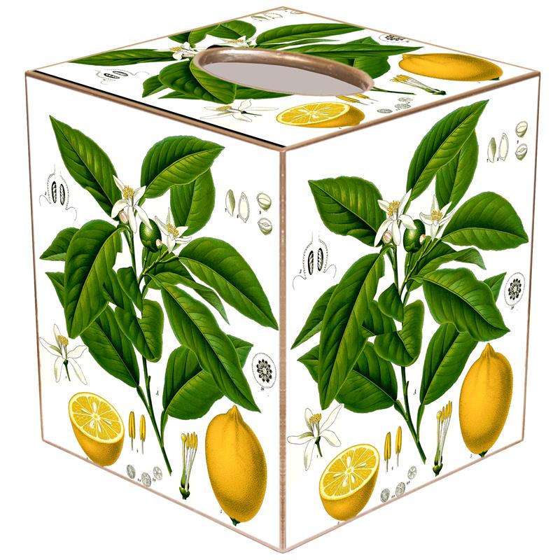 Hand-painted gold tissue box cover with paper mache finish